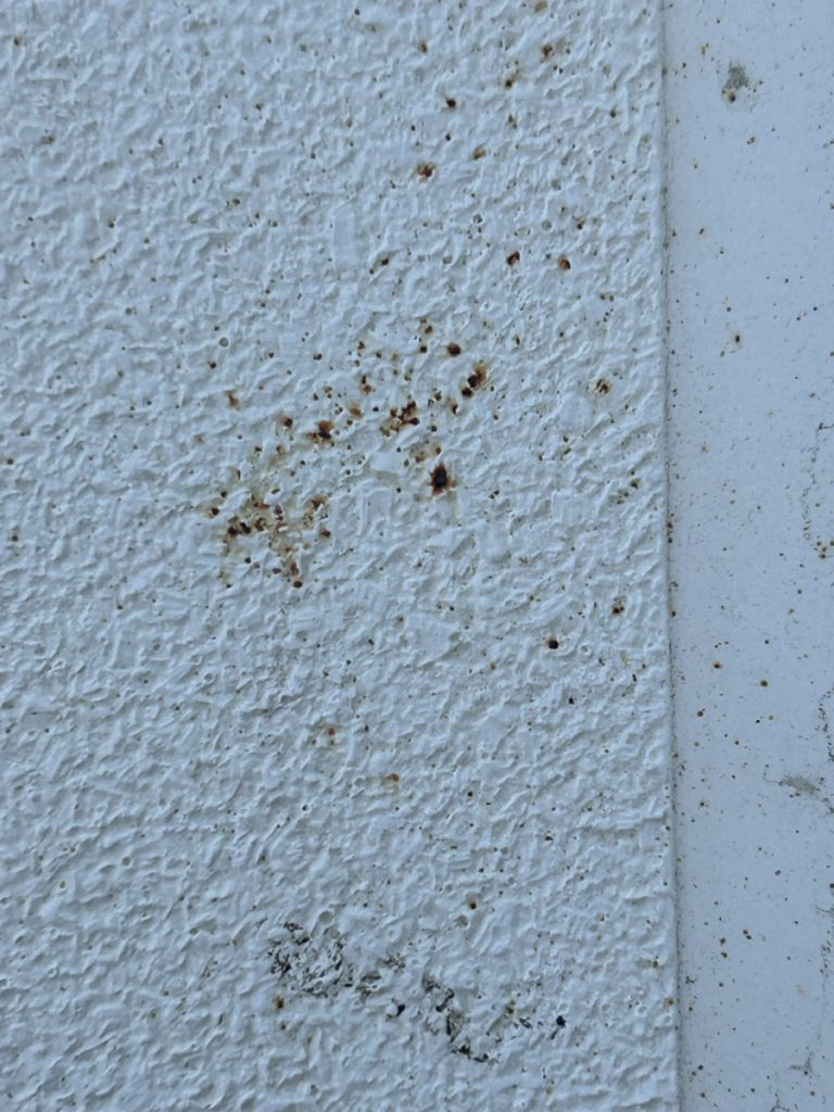 Rostpartikel im Gelcoat Rostpartikel im Gelcoat